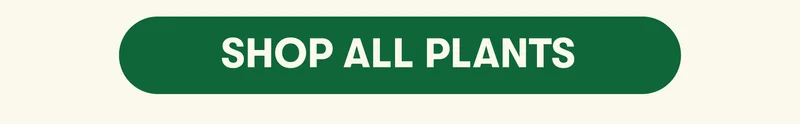 [ SHOP ALL PLANTS]