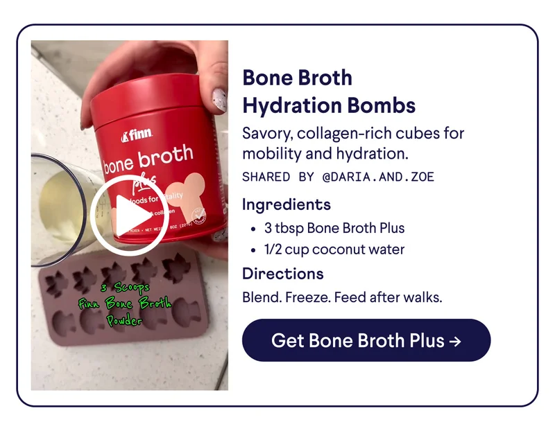 Bone Broth Hydration Bombs: Savory, collagen-rich cubes for mobility and hydration. Shared by @daria.and.zoe. Ingredients: 3 tbsp Bone Broth Plus 1/2 cup coconut water. Directions: Blend. Freeze. Feed after walks. CTA: Get Bone Broth Plus