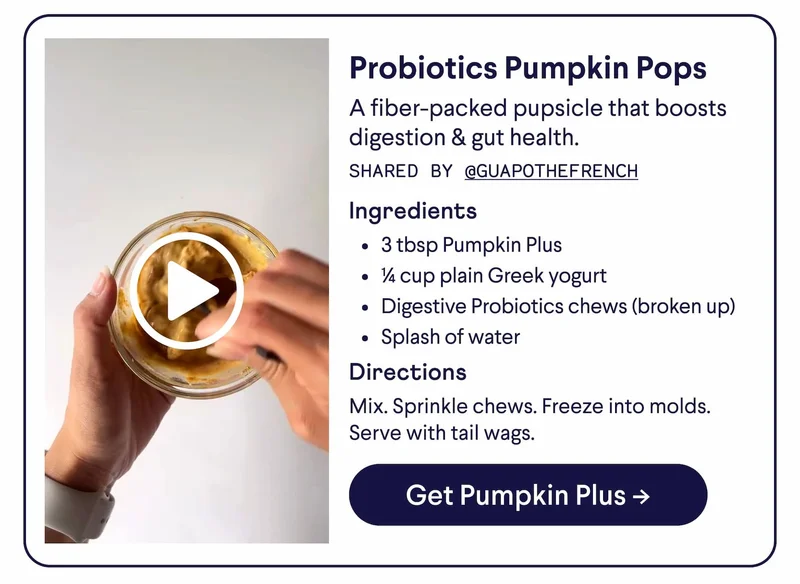 Peachy Pumpkin Pops. A fiber-packed pupsicle that boosts digestion & gut health. Shared by @guapothefrench. Ingredients: 3 tbsp Pumpkin Plus ¼ cup plain Greek yogurt Digestive Probiotics chews (broken up) Splash of water. Directions: Mix. Sprinkle chews. Freeze into molds. Serve with tail wags. CTA: Get Pumpkin Plus