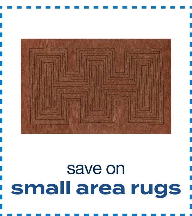 Small Area Rugs