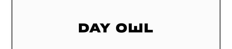 Day Owl