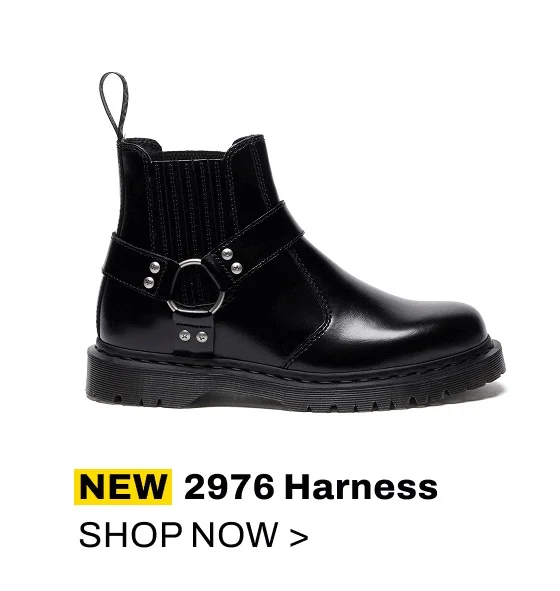 2976 Harness