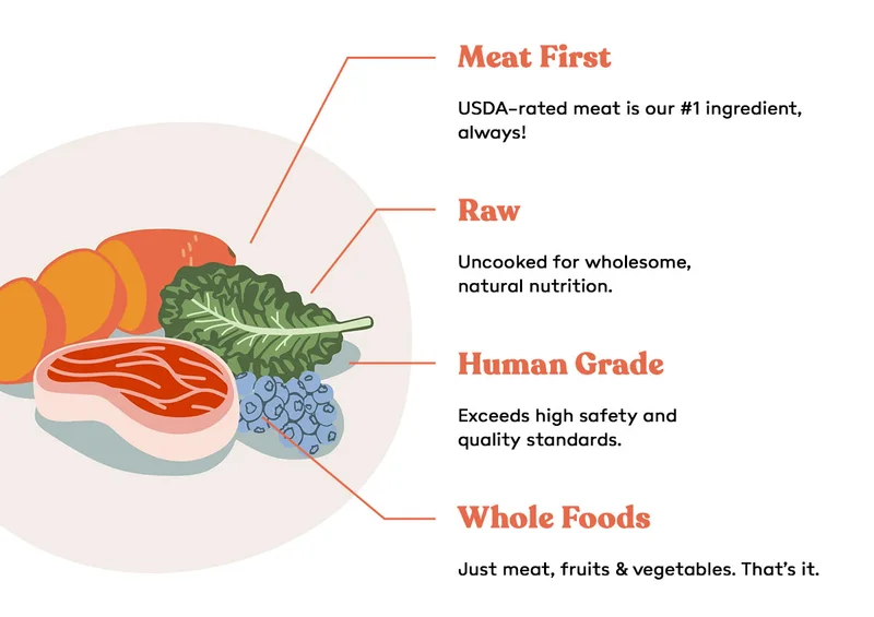 Superfoods for Dogs