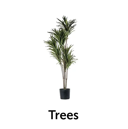 Trees