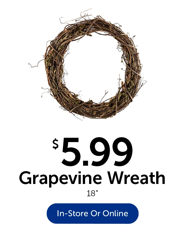 $4.99 Grapevine Wreath - 18 in.