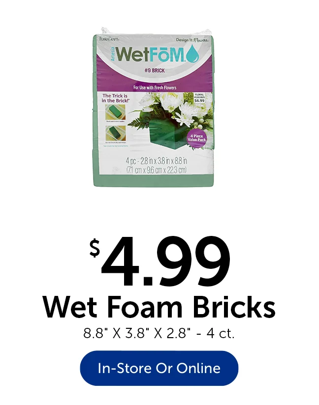 $4.99 Wet Foam Bricks - 4 ct.