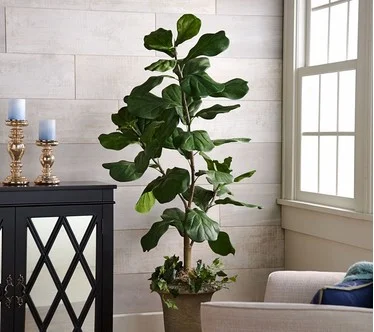 5' Faux Fiddle Leaf Tree in Starter Pot by Valerie