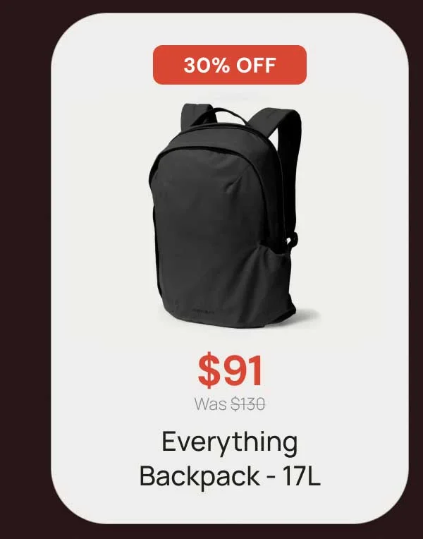 30% off - $91 Everything Backpack - 17L