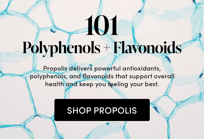Polyphenols + Flavonoids 101 Propolis delivers powerful antioxidants, polyphenols, and flavonoids that support overall health and keep you feeling your best