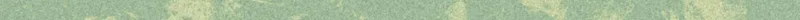 Light green patterned divider