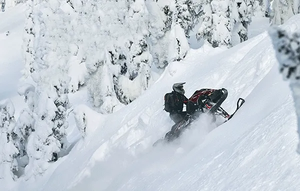 Lynx rider going uphill on a sled