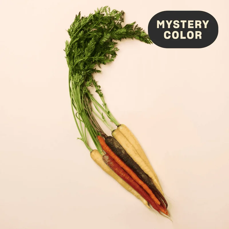 Organic Mystery Bunched Carrots