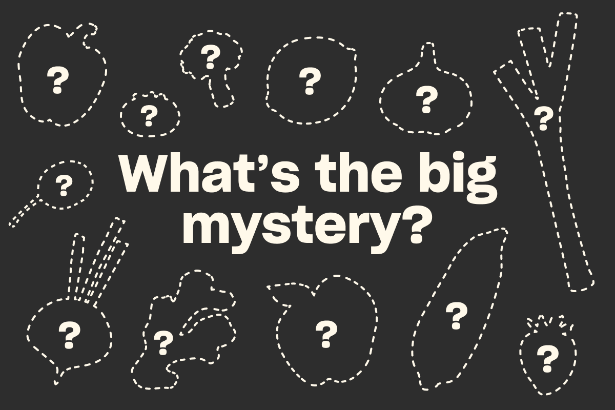 What's the big mystery?