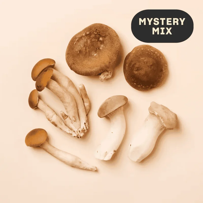 Organic Mystery Mushroom Sampler, 4 Oz