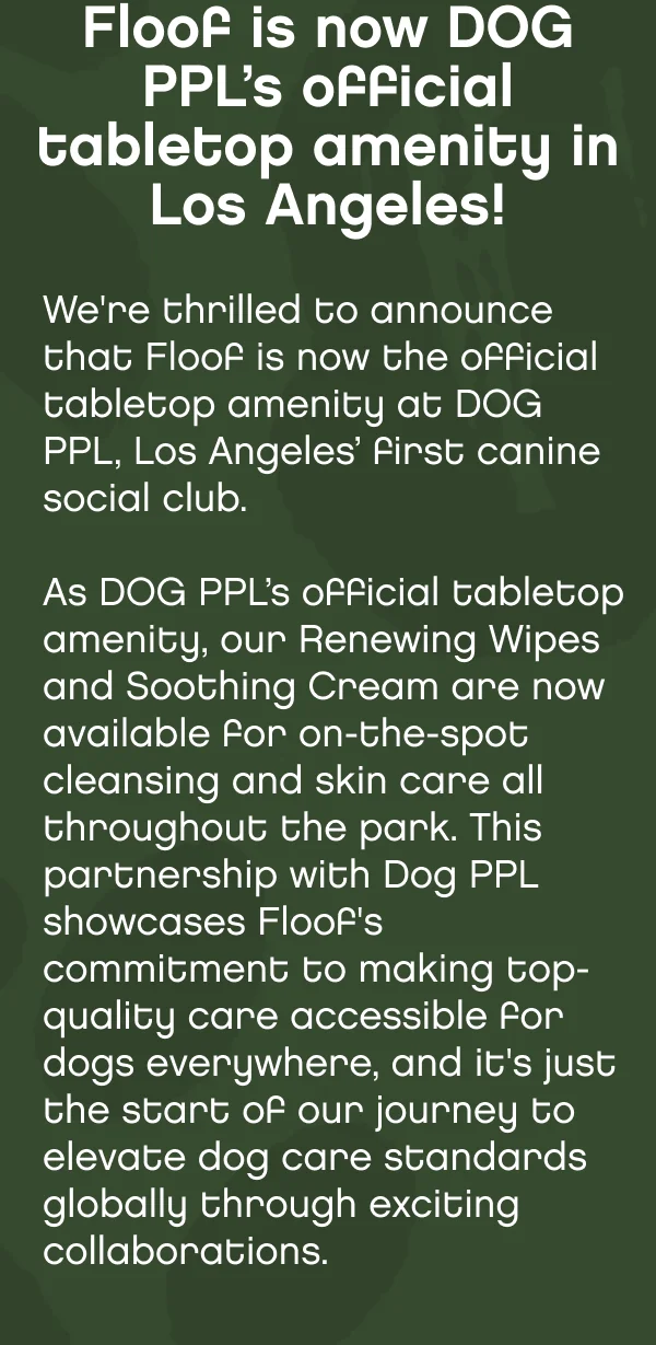 FLOOF'S WEBSITE