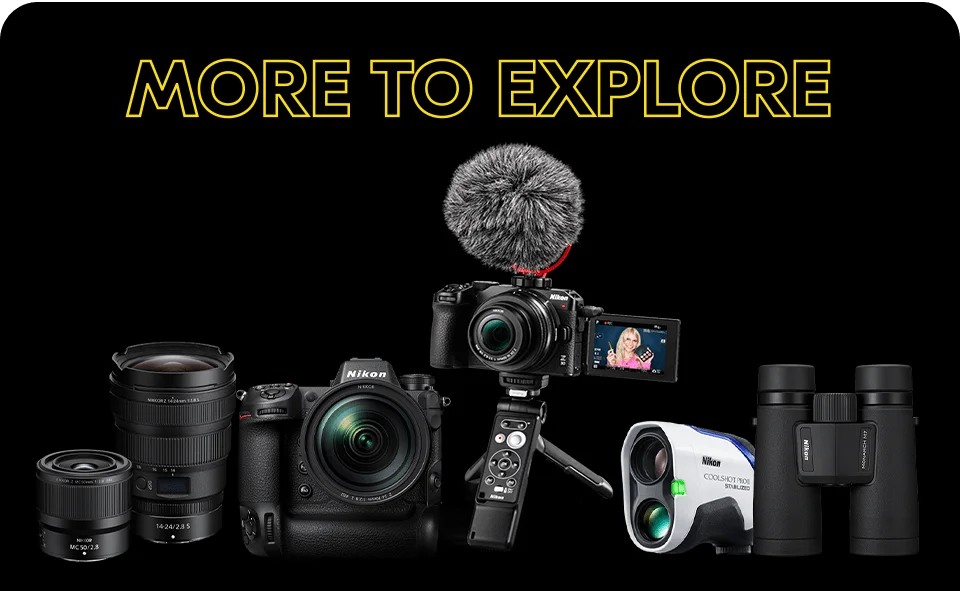 More to Explore