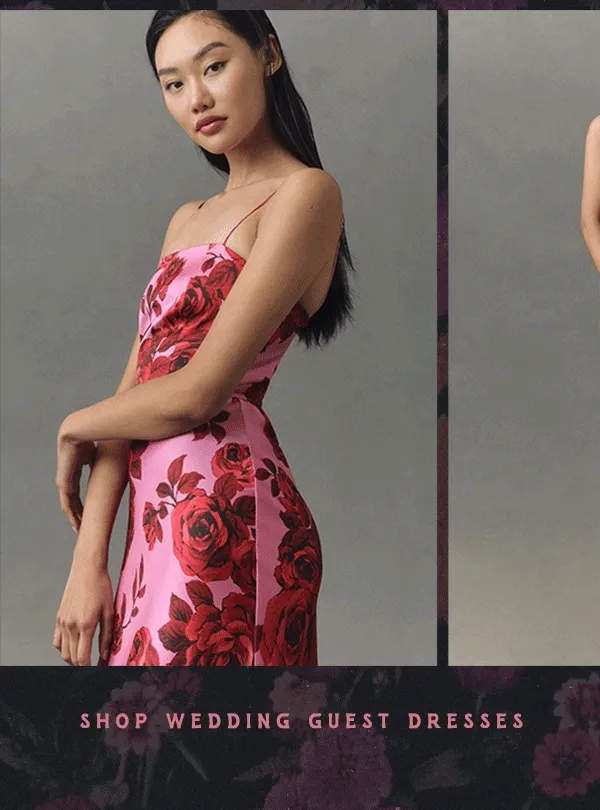 shop wedding guest dresses