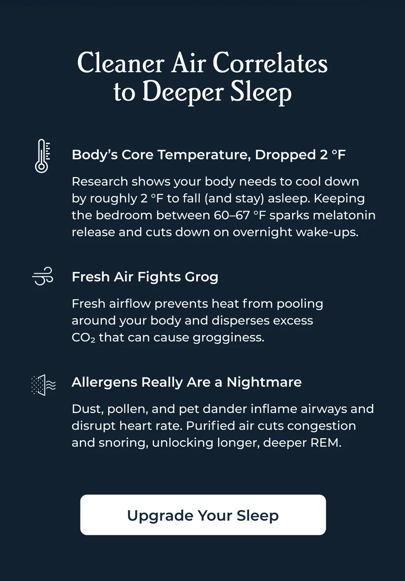Upgrade Your Sleep | Shop Air Purifier