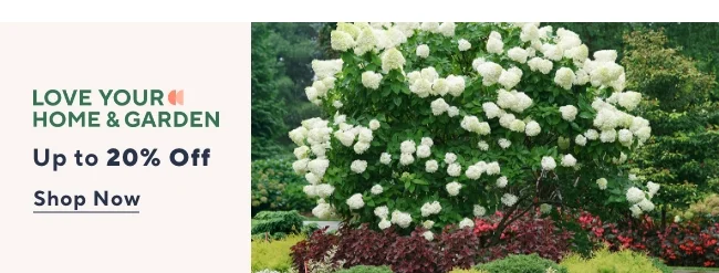 Love Your Garden