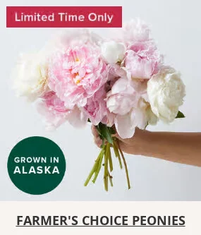 Flowers At a Great Price