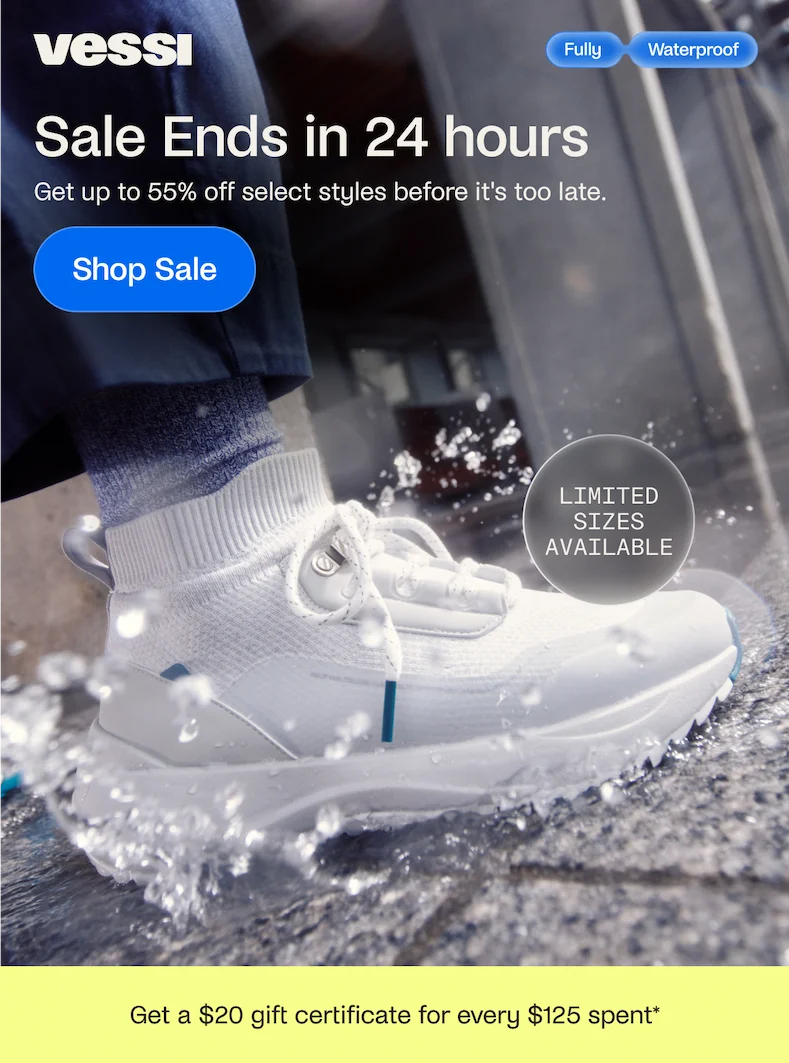 Sale Ends in 24 hours