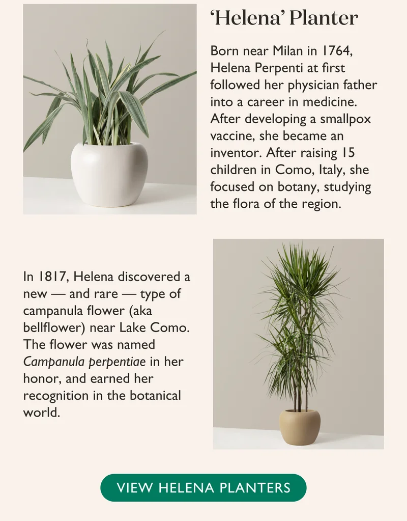 Helena Planter