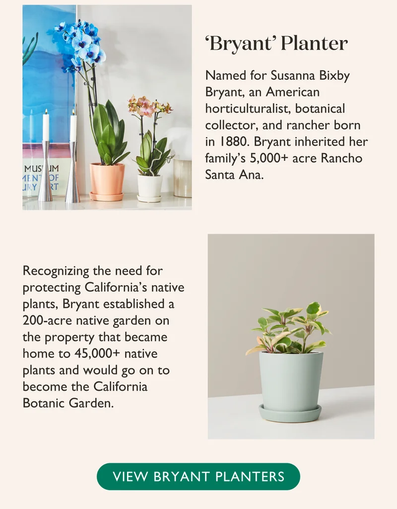 Bryant Planter
