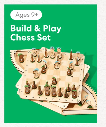 Build and Play Chess Set