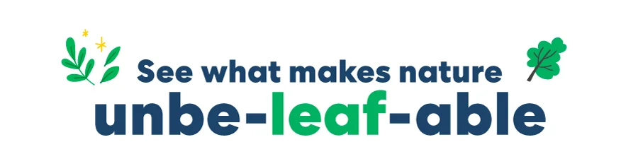 See what makes nature unbe-leaf-able