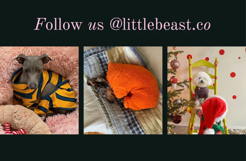 Follow us on Instagram