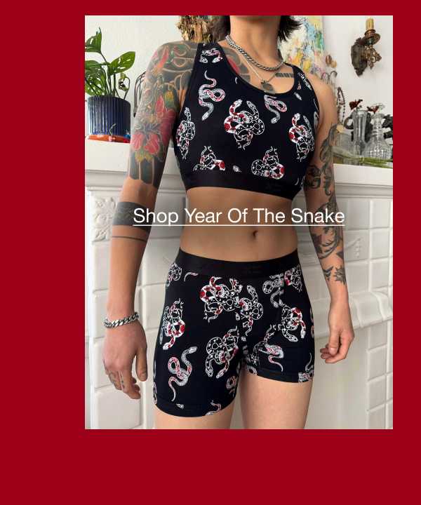 Year Of The Snake