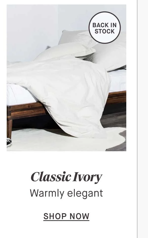 Classic Ivory Warmly elegant -- SHOP NOW