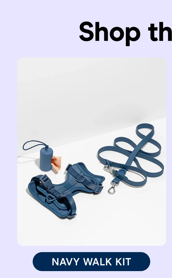 Navy Walk Kit