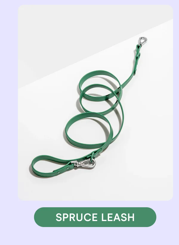 Spruce Leash