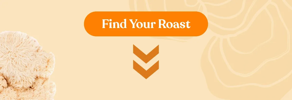 Find Your Roast