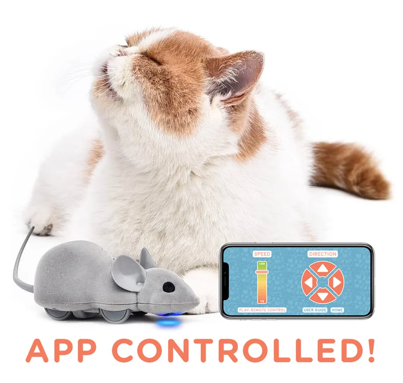 Image of Mouse Hunt Cat Toy, App Controlled