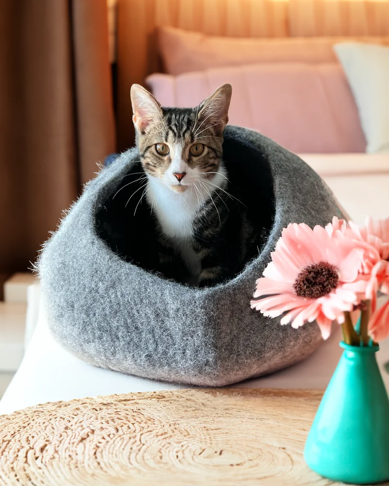 Image of Graphite Ombre Organic Wool Cat Cave - Pet Bed