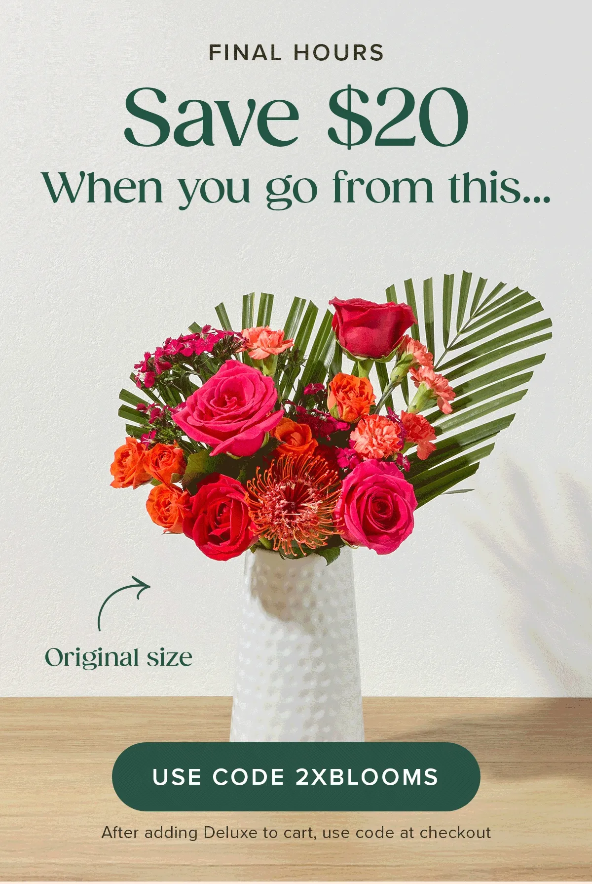 FINAL HOURS!  Save $20 when you go from an original size to a deluxe sized Bouq. Add a deluxe sized Bouq to your cart and use code 2XBLOOMS.
