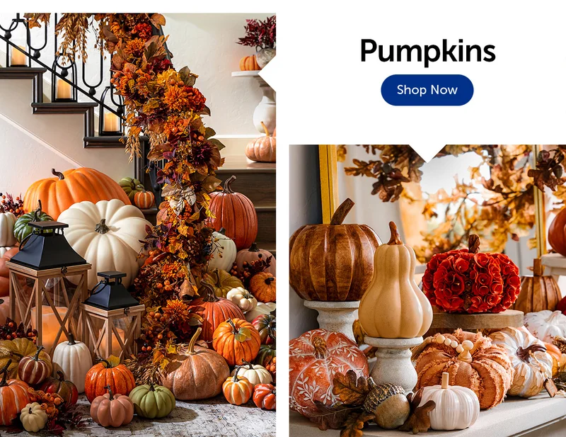 Fall Pumpkins