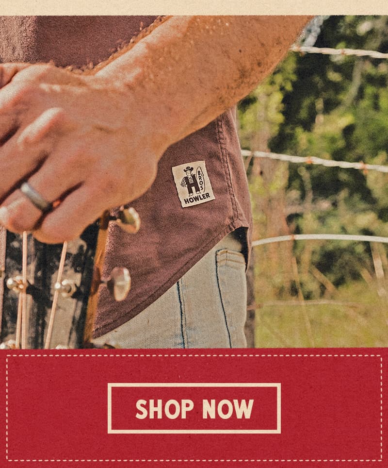 Shop Now