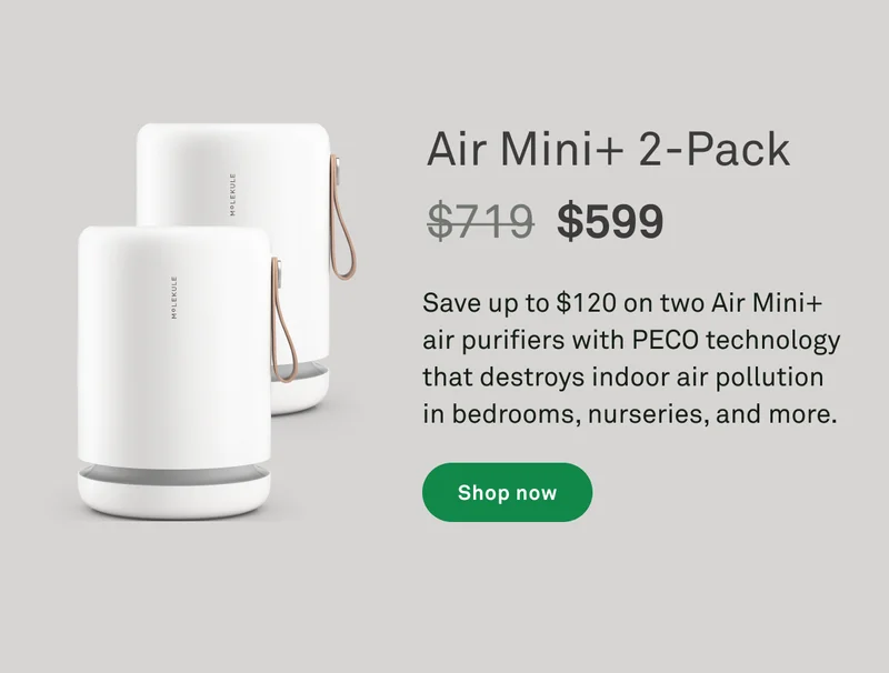 Air Mini+ 2-Pack