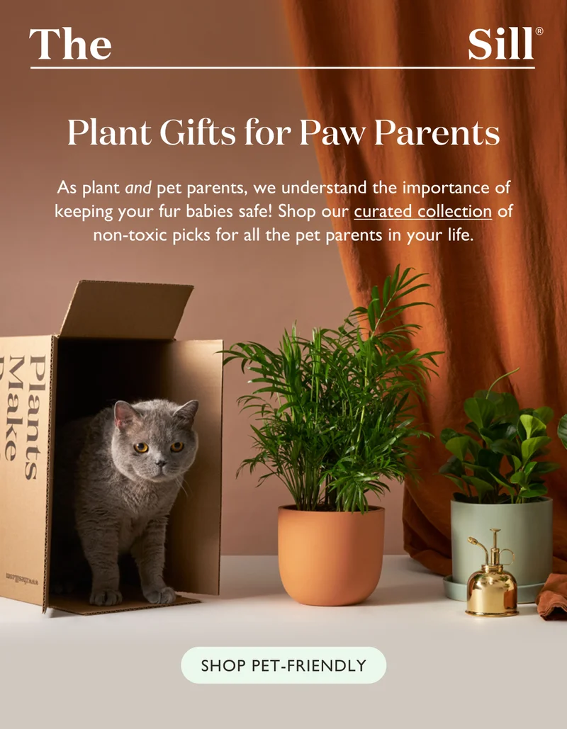 As plant and pet parents, we understand the importance of keeping your fur babies safe! Shop our curated collection of non-toxic picks for all the pet parents in your life.