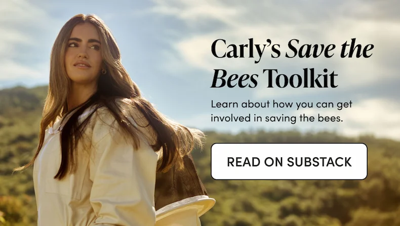 Carly’s Save the Bees Toolkit   Learn about how you can get involved in saving the bees.