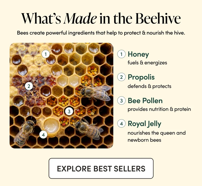 What’s Made in the Beehive        Bees create powerful ingredients that help to protect & nourish the hive.  Honey  fuels & energizes  Propolis  defends & protects  Bee Pollen provides nutrition & protein   Royal Jelly  nourishes the queen and newborn bees