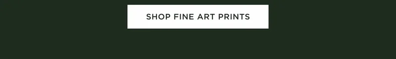 Shop Fine Art Prints