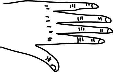 A drawing of a hand