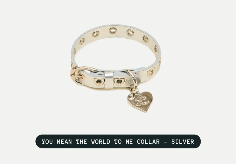 You mean the world to me collar- silver