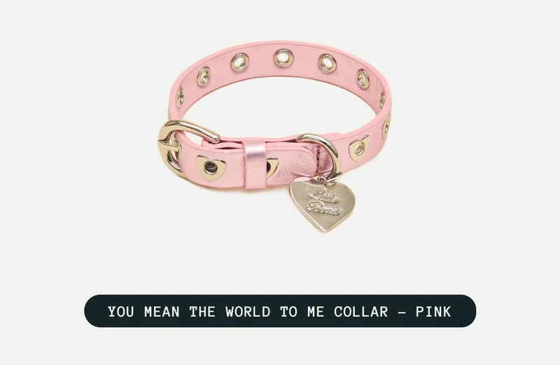 You mean the world to me collar- pink