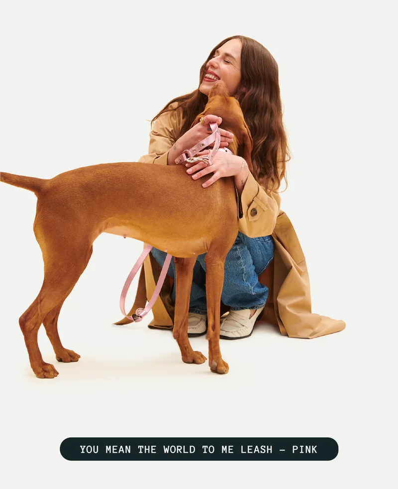 You mean the world to me leash- pink