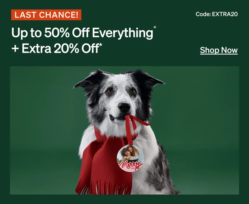 Up to 50% Off Sitewide + Extra 20% Off